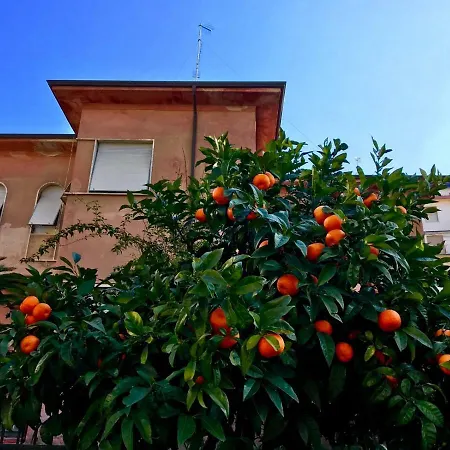 Aranci