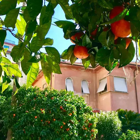 Aranci Apartamento